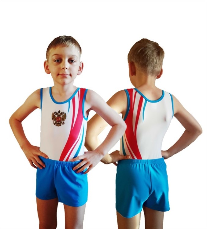 Мальчики в спортивной гимнастики