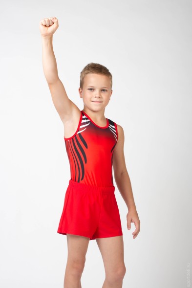 Купальник гимнастический мужской &quot;Икар&quot;. Красный.