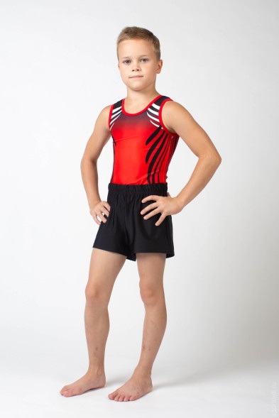 Купальник гимнастический мужской &quot;Икар&quot;. Красный.