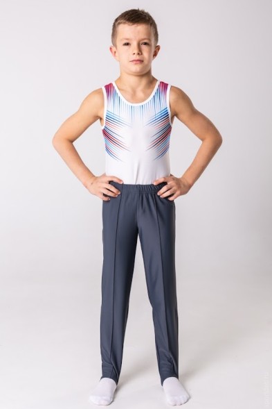 Гимнастическое трико.  Серое (2). 