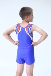 Купальник гимнастический. Мужской. &quot;Россия&quot;.   