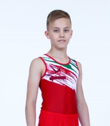 Купальник гимнастический. Мужской. &quot;Успех&quot;