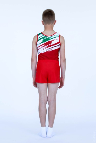 Купальник гимнастический. Мужской. "Успех"