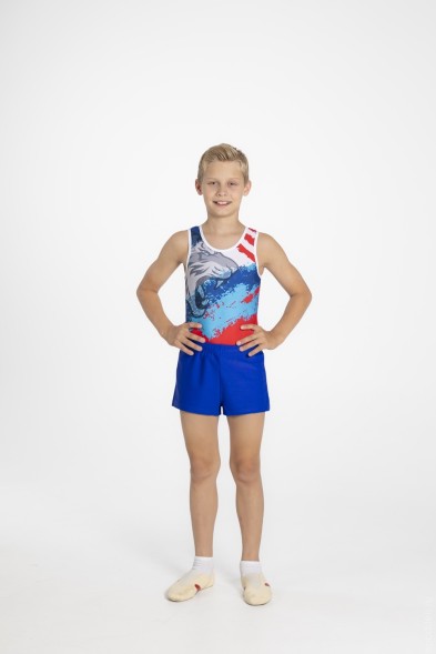 Купальник гимнастический мужской &quot;Натиск&quot;