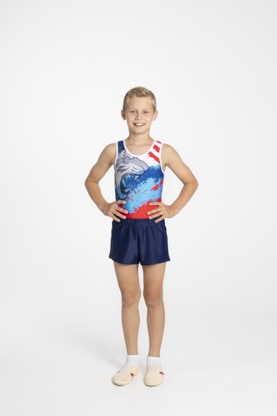 Купальник гимнастический мужской &quot;Натиск&quot;