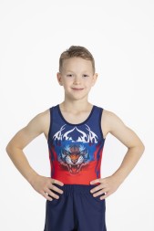 Купальник гимнастический мужской "Шквал"