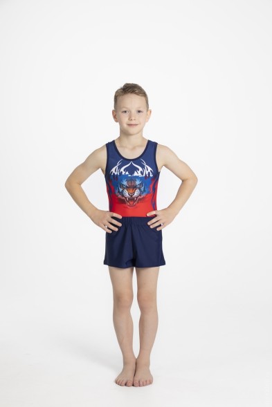 Купальник гимнастический мужской &quot;Шквал&quot;