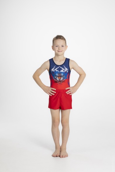 Купальник гимнастический мужской &quot;Шквал&quot;