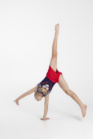 Купальник гимнастический мужской &quot;Джунгли&quot;. Темно-синий