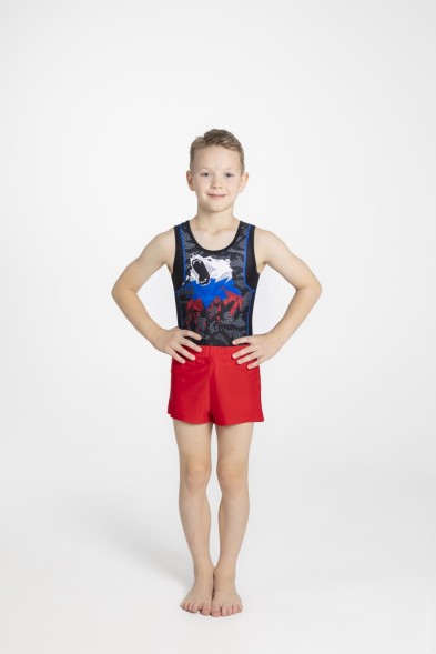 Купальник гимнастический мужской "Сила"