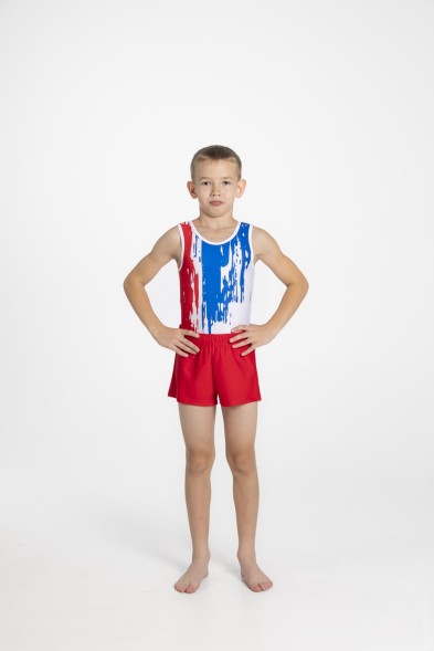 Купальник гимнастический мужской &quot;Art&quot;