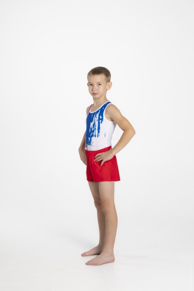 Купальник гимнастический мужской &quot;Art&quot;