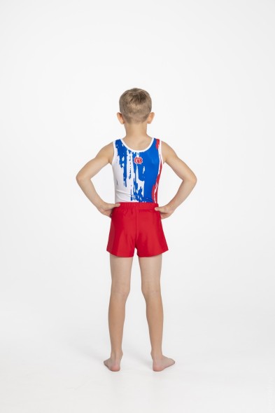 Купальник гимнастический мужской &quot;Art&quot;