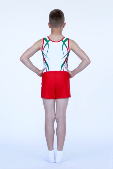 Купальник гимнастический. Мужской. &quot;Олимп&quot; (зеленый)