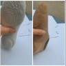 Чешки (белые)