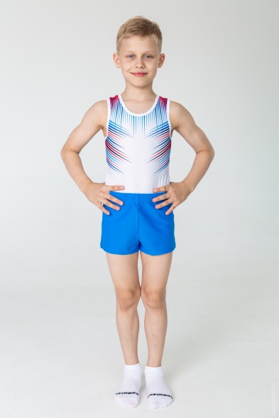 Купальник гимнастический мужской &quot;Стрела&quot;