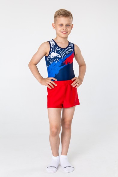 Купальник гимнастический мужской &quot;Скала&quot;