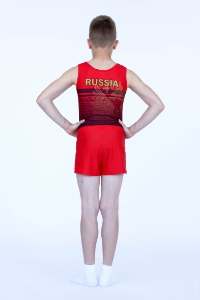 Купальник гимнастический. Мужской. &quot;Россия. Орёл&quot;.  Красный