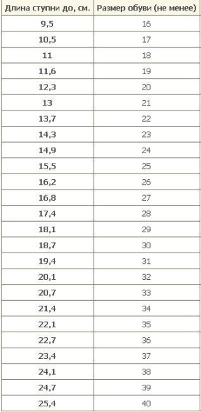 Чешки гимнастические (для спортивной гимнастики). Профессиональные. IWA. Артикул 502.
