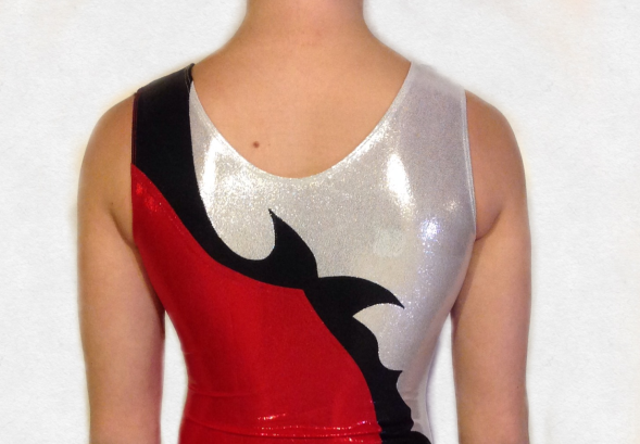 Гимнастический купальник для выступлений. Арт. 1464. Красный/серебро Gymbody