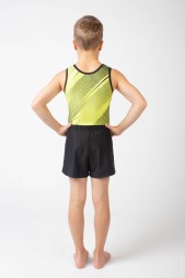 Купальник гимнастический мужской "Лео".