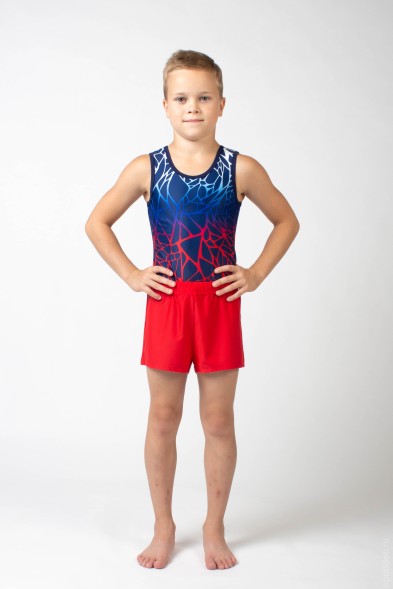 Купальник гимнастический мужской &quot;Байкал&quot;.   